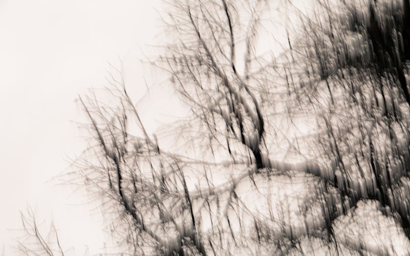 Těhotenství a péče o zuby